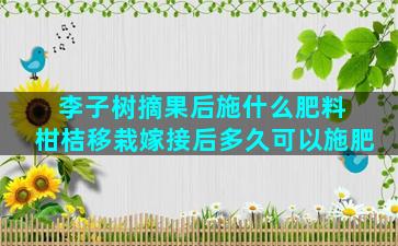 李子树摘果后施什么肥料 柑桔移栽嫁接后多久可以施肥